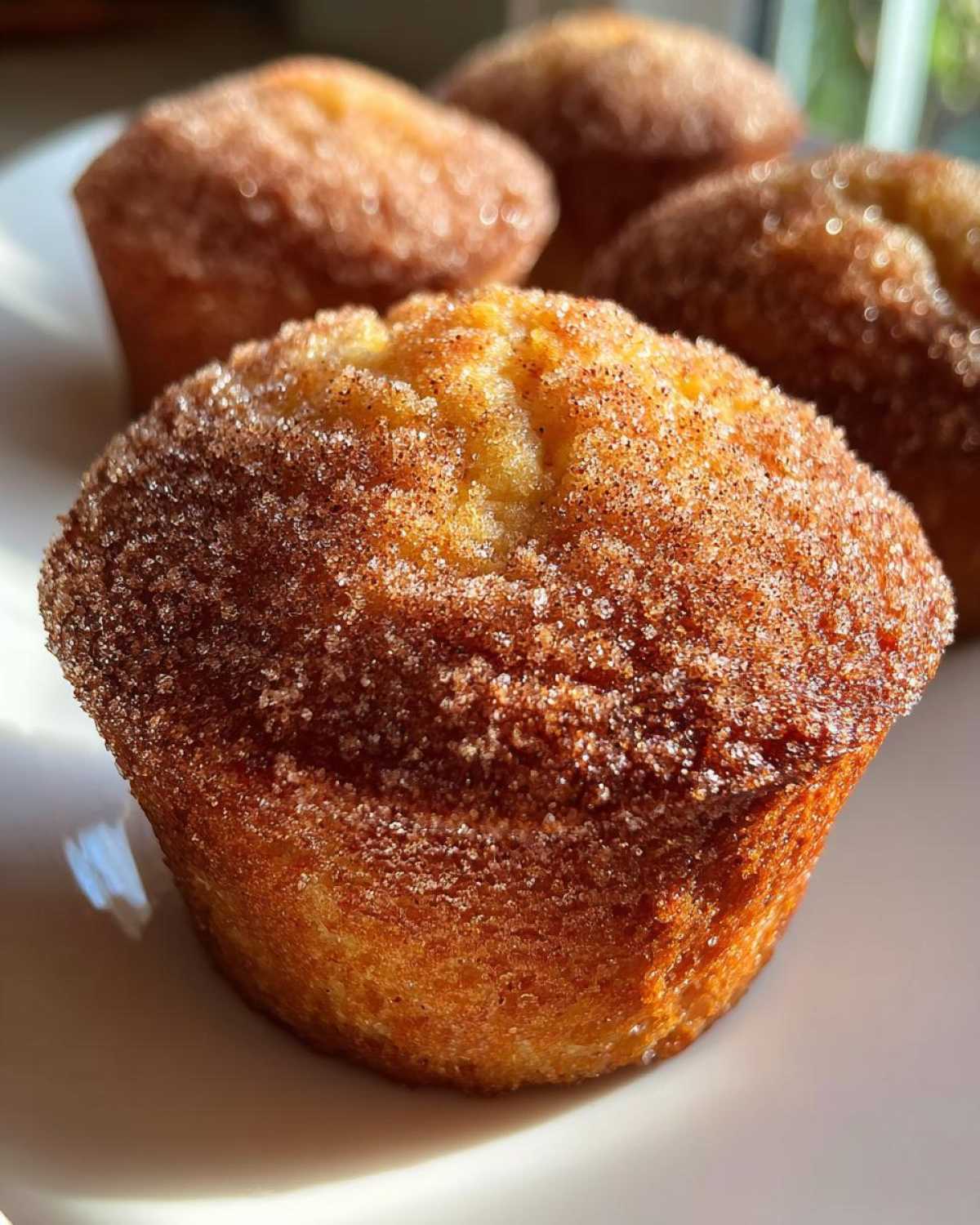 Apple Cider Donut Muffins - detail 1