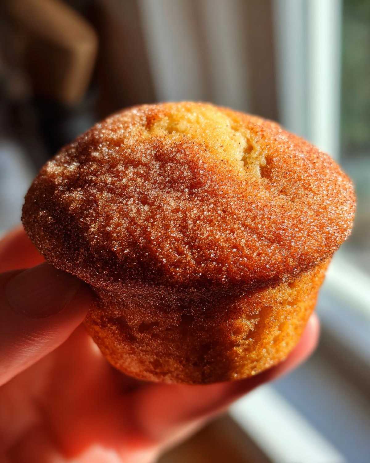 Apple Cider Donut Muffins - detail 4