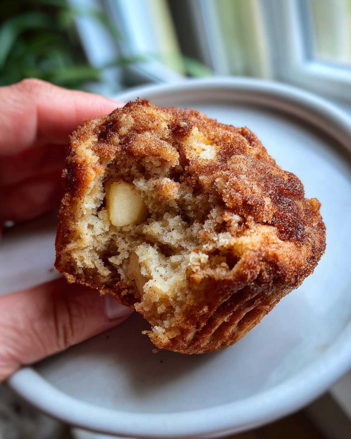 Apple Cinnamon Muffins - detail 2