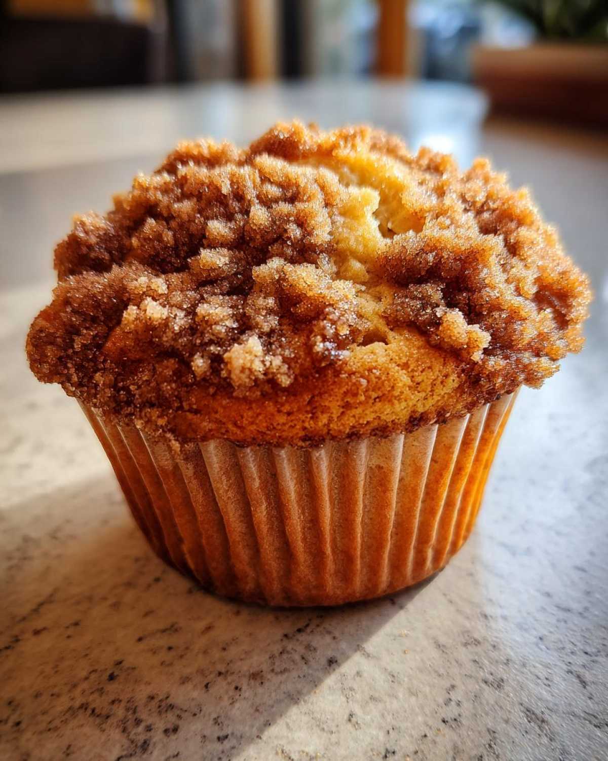 Cinnamon Streusel Coffee Cake Muffins - detail 1