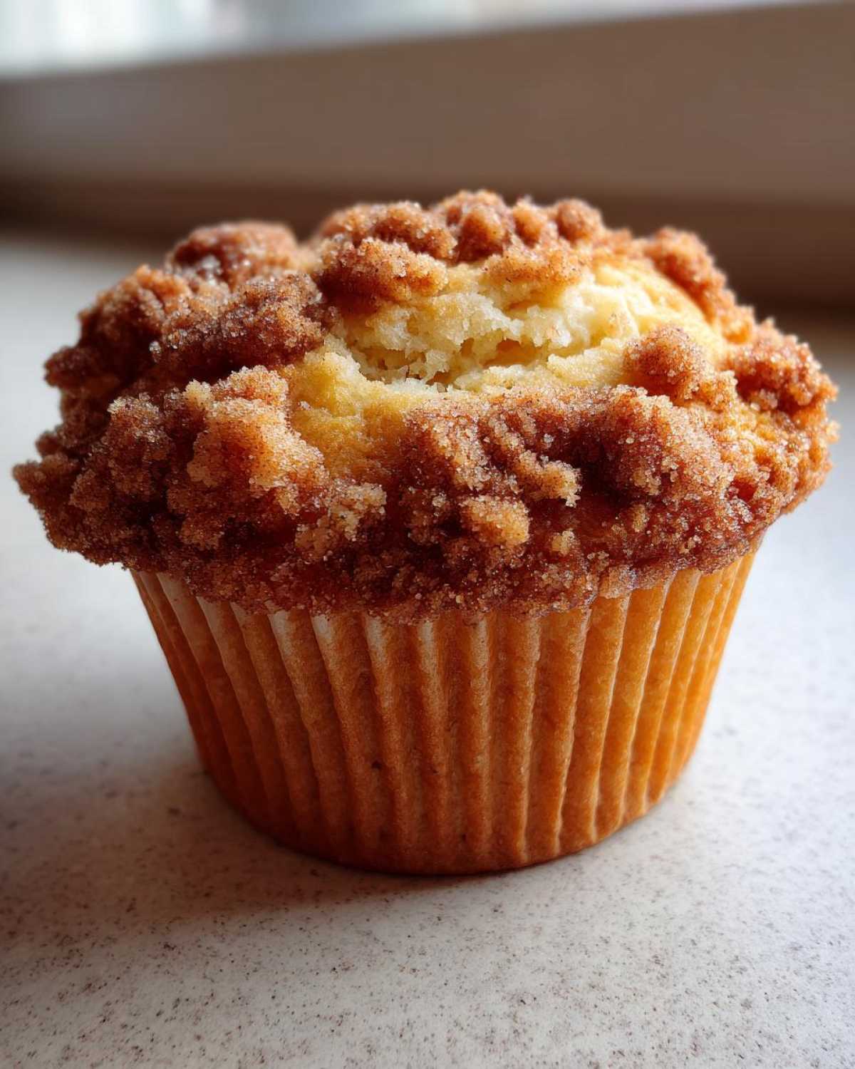Cinnamon Streusel Coffee Cake Muffins - detail 2