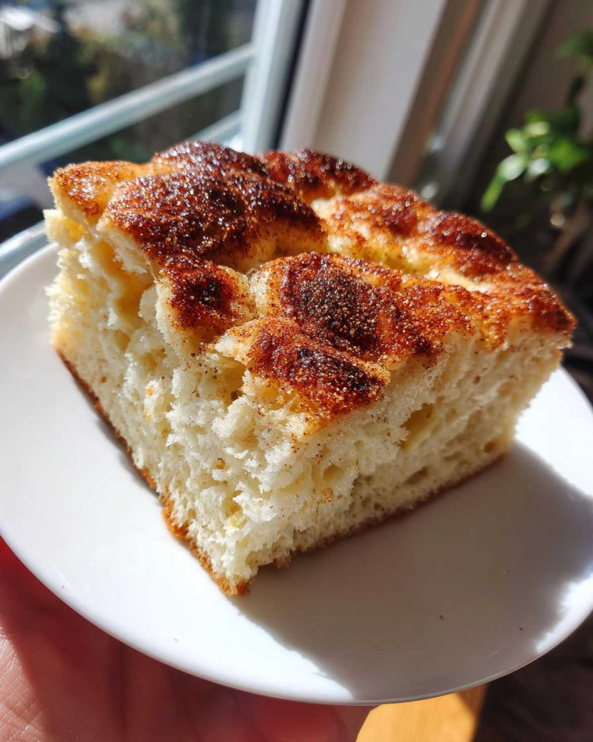 Cinnamon Sugar Focaccia - detail 4
