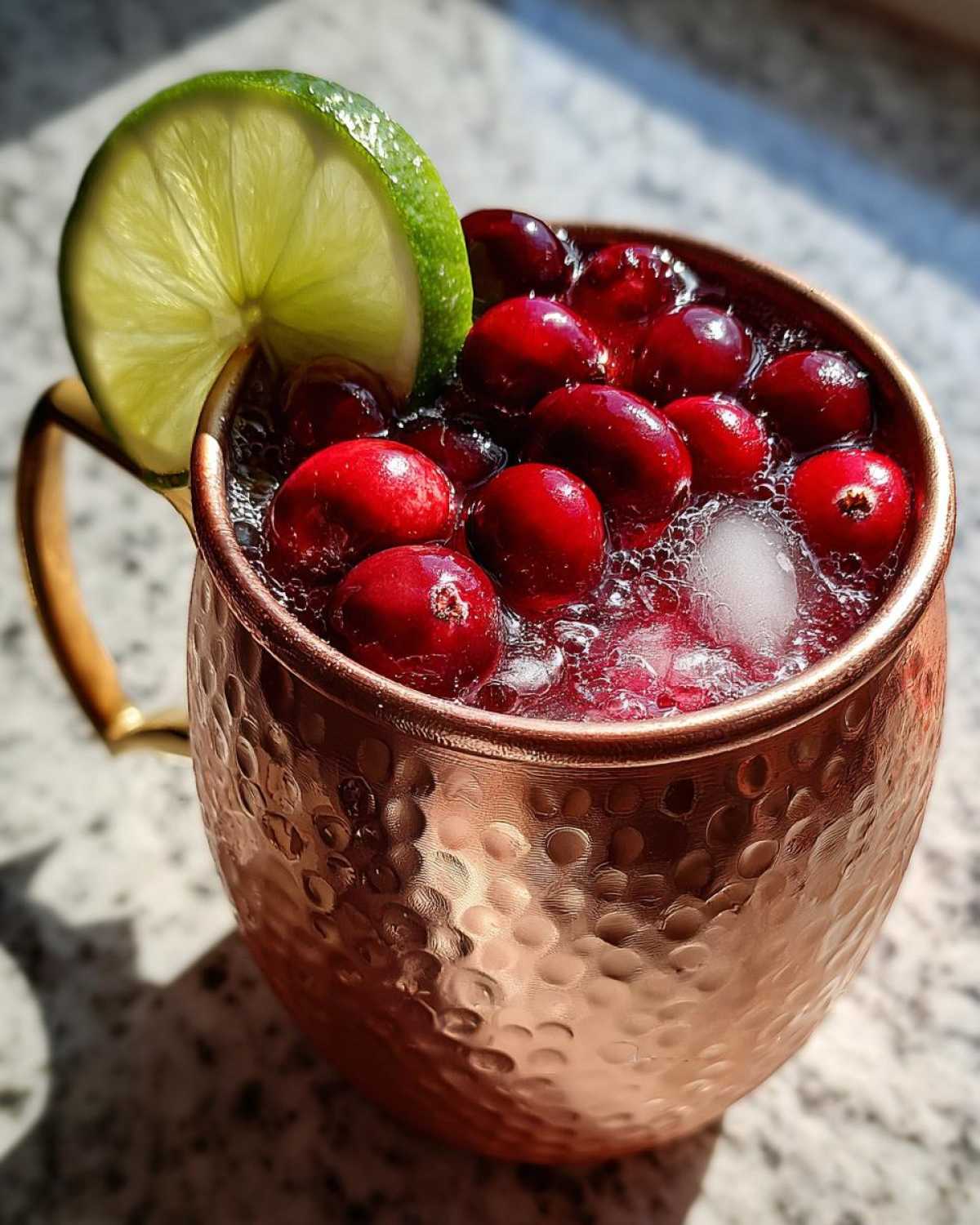 Cranberry Moscow Mule - detail 3