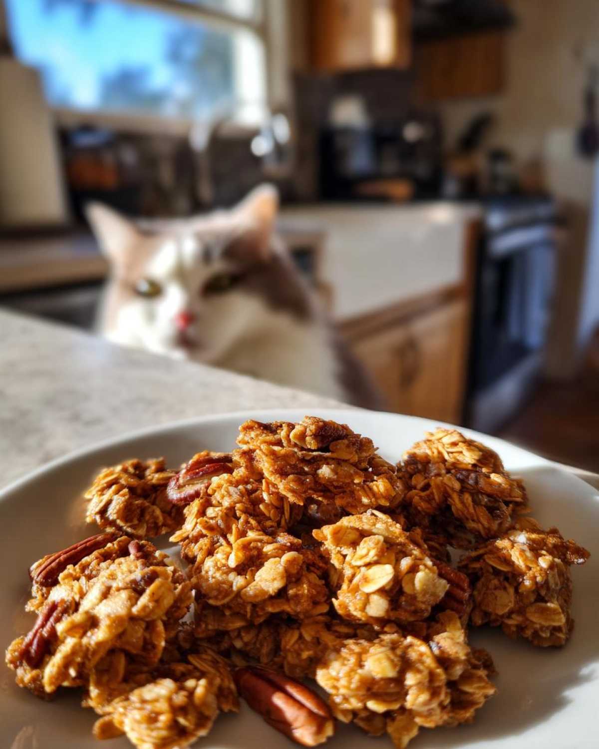 Maple Pecan Granola - detail 1