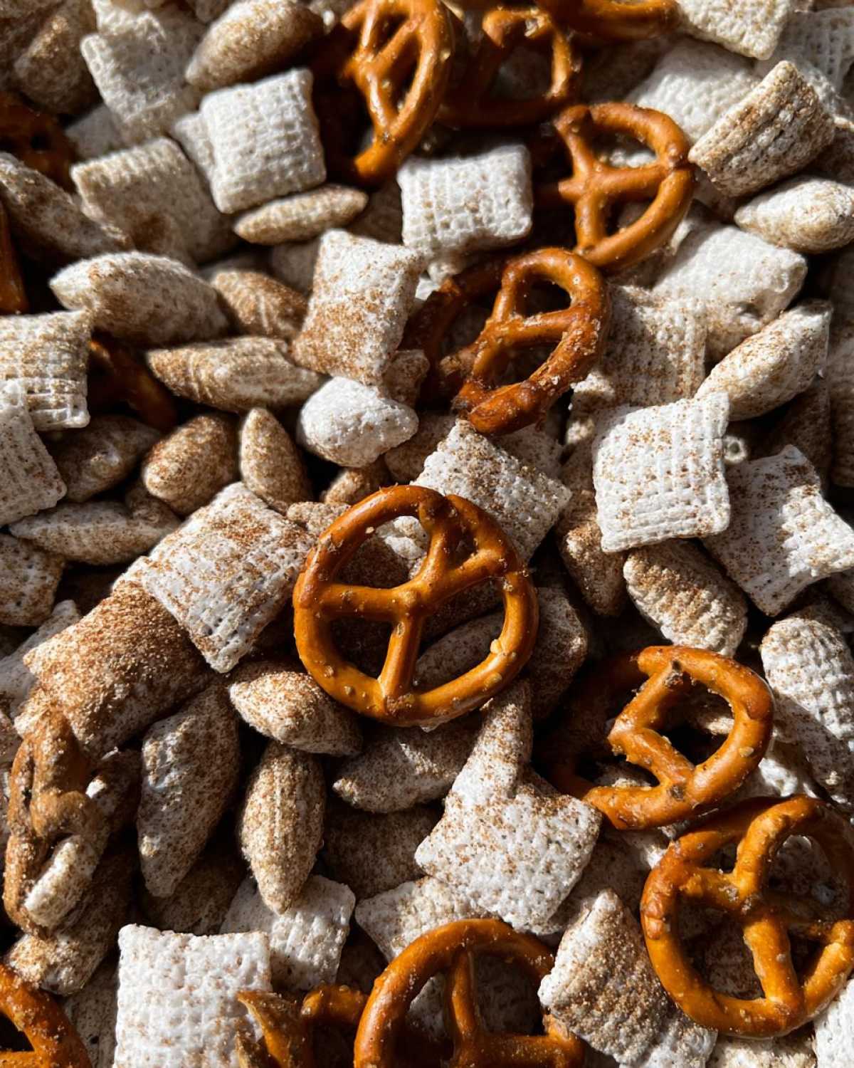 Pumpkin Spice Puppy Chow - detail 3