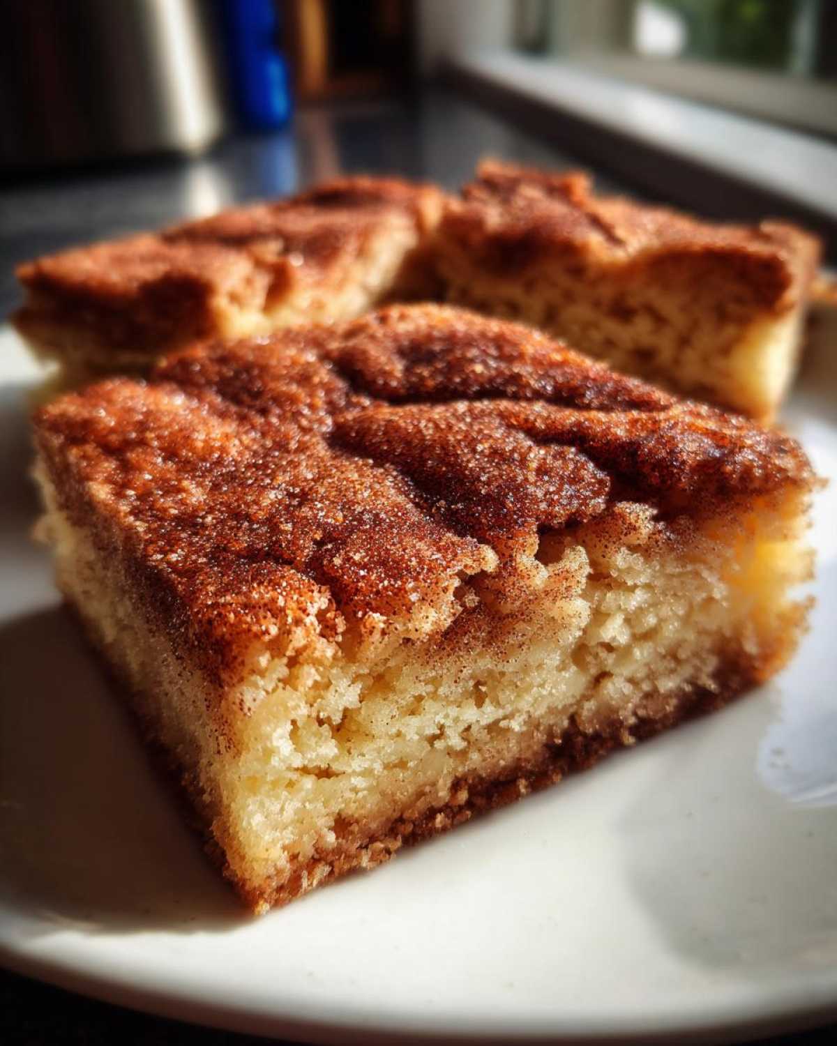 Snickerdoodle Blondies - detail 1