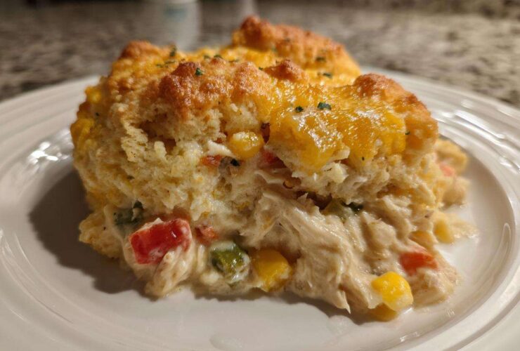 Close-up of a serving of amazing chicken cobbler showing shredded chicken, vegetables, and a golden biscuit topping with melted cheese.