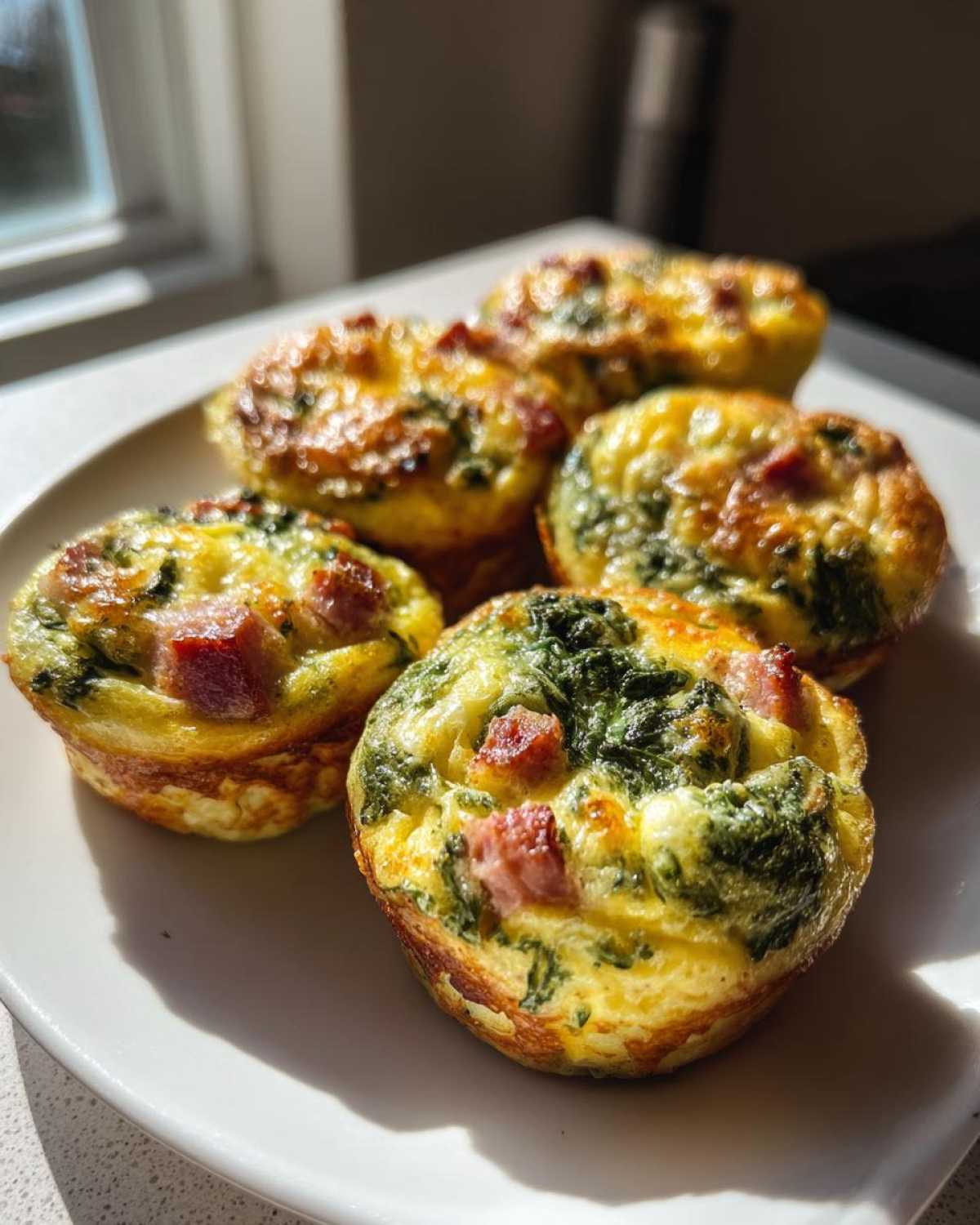 Five freshly baked ham and spinach egg muffin portions sitting on a white plate in bright sunlight.