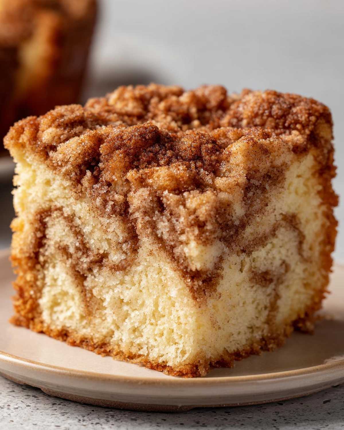 Close-up of a perfectly moist slice of sour cream coffee cake featuring a rich cinnamon swirl and thick, crumbly streusel topping.