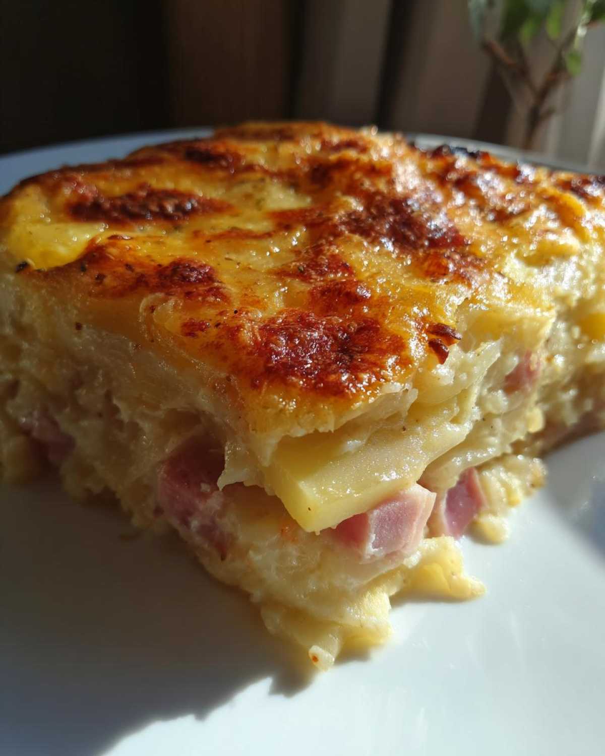 Close-up of a layered slice of scalloped potatoes and ham with a golden, cheesy, baked top.